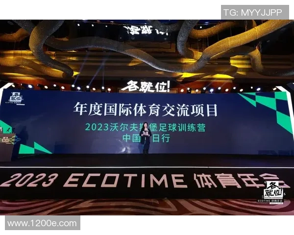 刘娜深度解析足球技巧与战术分享独家心得助你提升球技