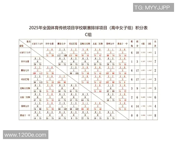 南京排球队状态分析与未来展望聚焦排球运动的热潮与发展