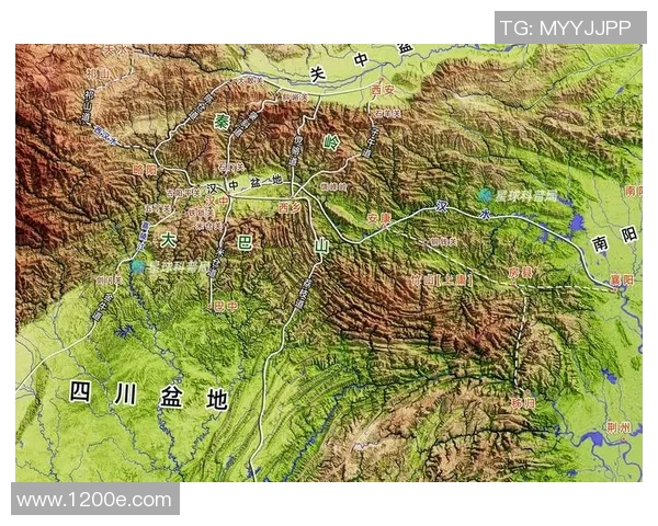 广州足球队防守策略深度解析与战术演变探讨