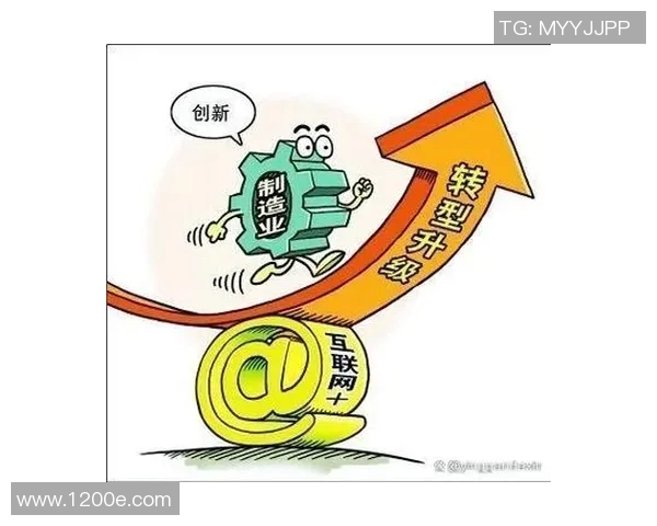 杭州乒乓球队转型之路的挑战与机遇全面解析