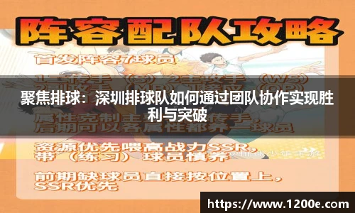 k1体育