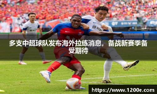 k1体育